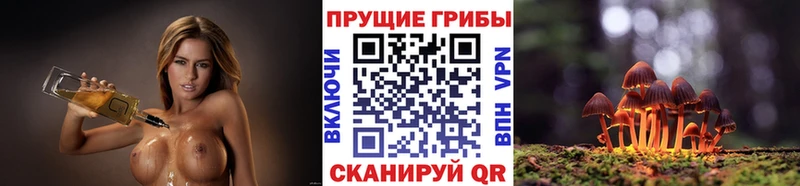 Купить  Зарайск  Псилоцибиновые грибы мухоморы 